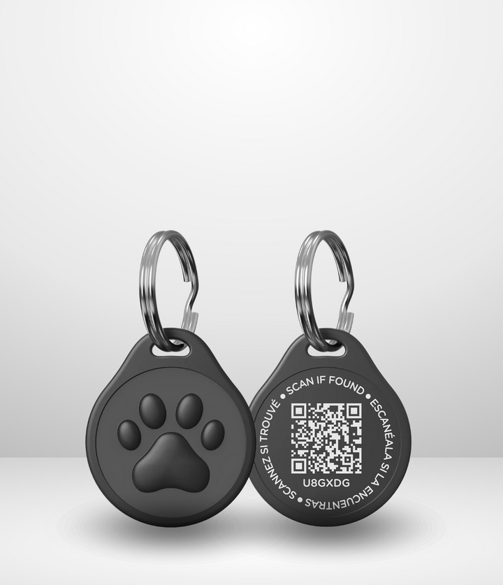 QR DOG