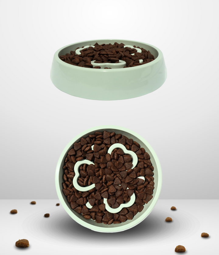 Gamelle Anti-Glouton "Le Labyrinthe Gourmand" - Pour un Repas Sain et Amusant !