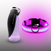 Gourde + Collier LED Rose
