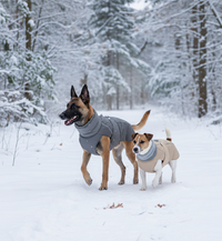 Manteau d’hiver imperméable pour chien – Col réfléchissant & doublure polaire
