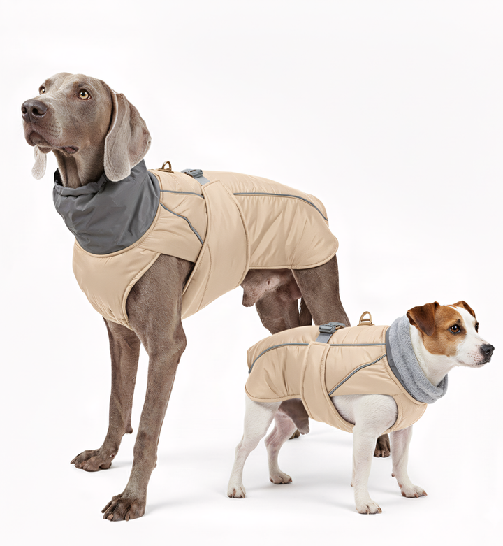 Manteau d’hiver imperméable pour chien – Col réfléchissant & doublure polaire