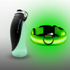Gourde + Collier LED Vert