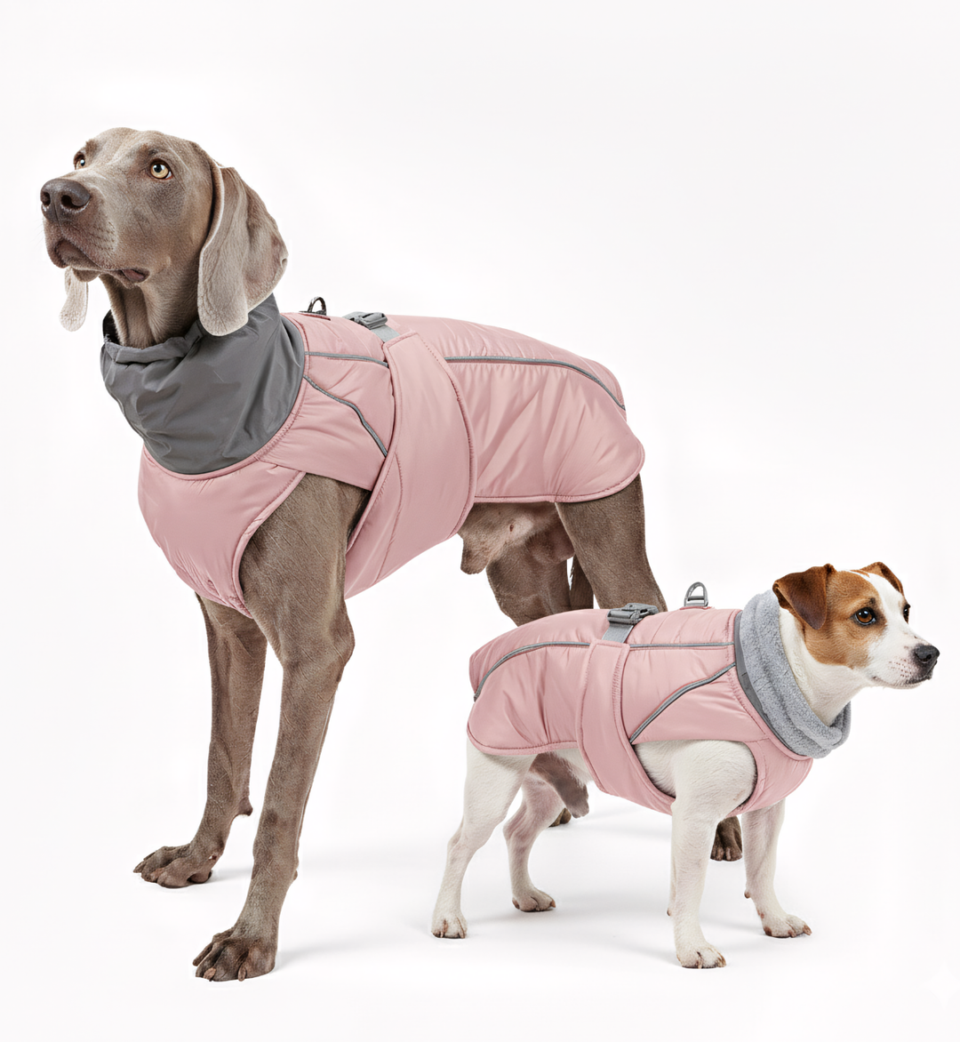 Manteau d’hiver imperméable pour chien – Col réfléchissant & doublure polaire