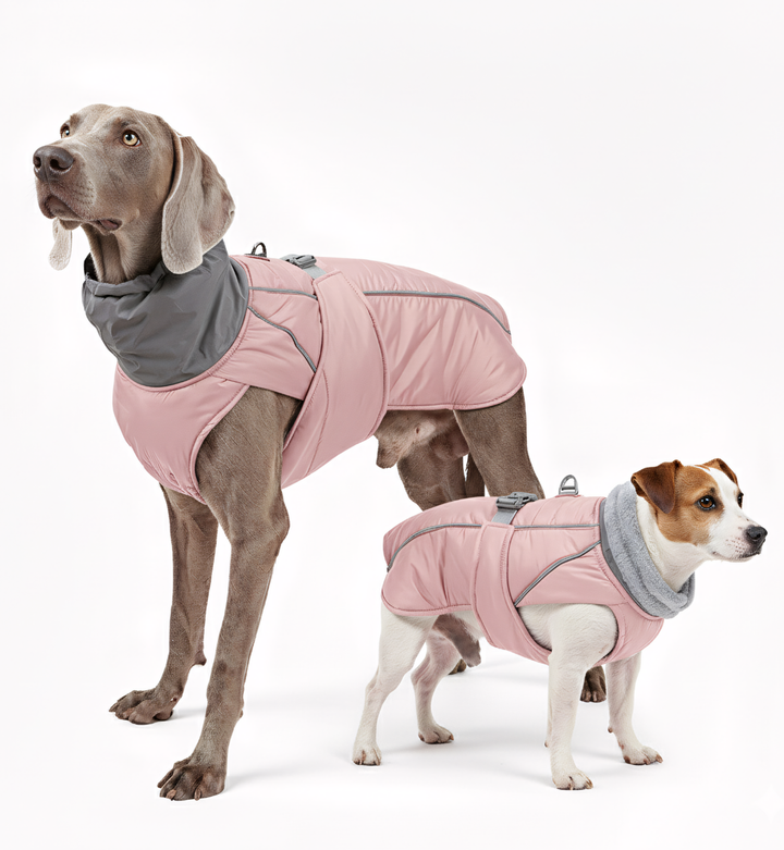 Manteau d’hiver imperméable pour chien – Col réfléchissant & doublure polaire