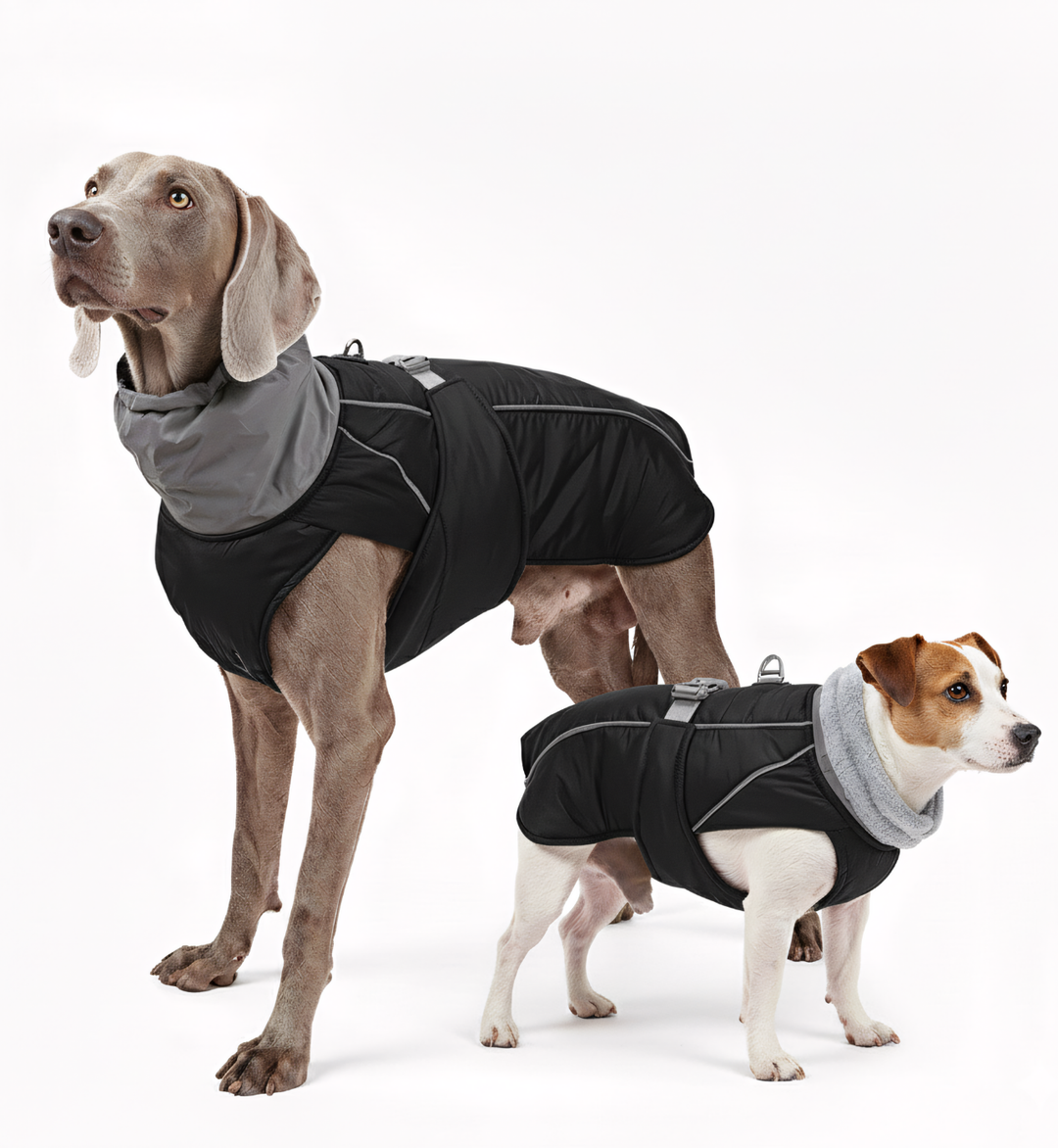 Manteau d’hiver imperméable pour chien – Col réfléchissant & doublure polaire