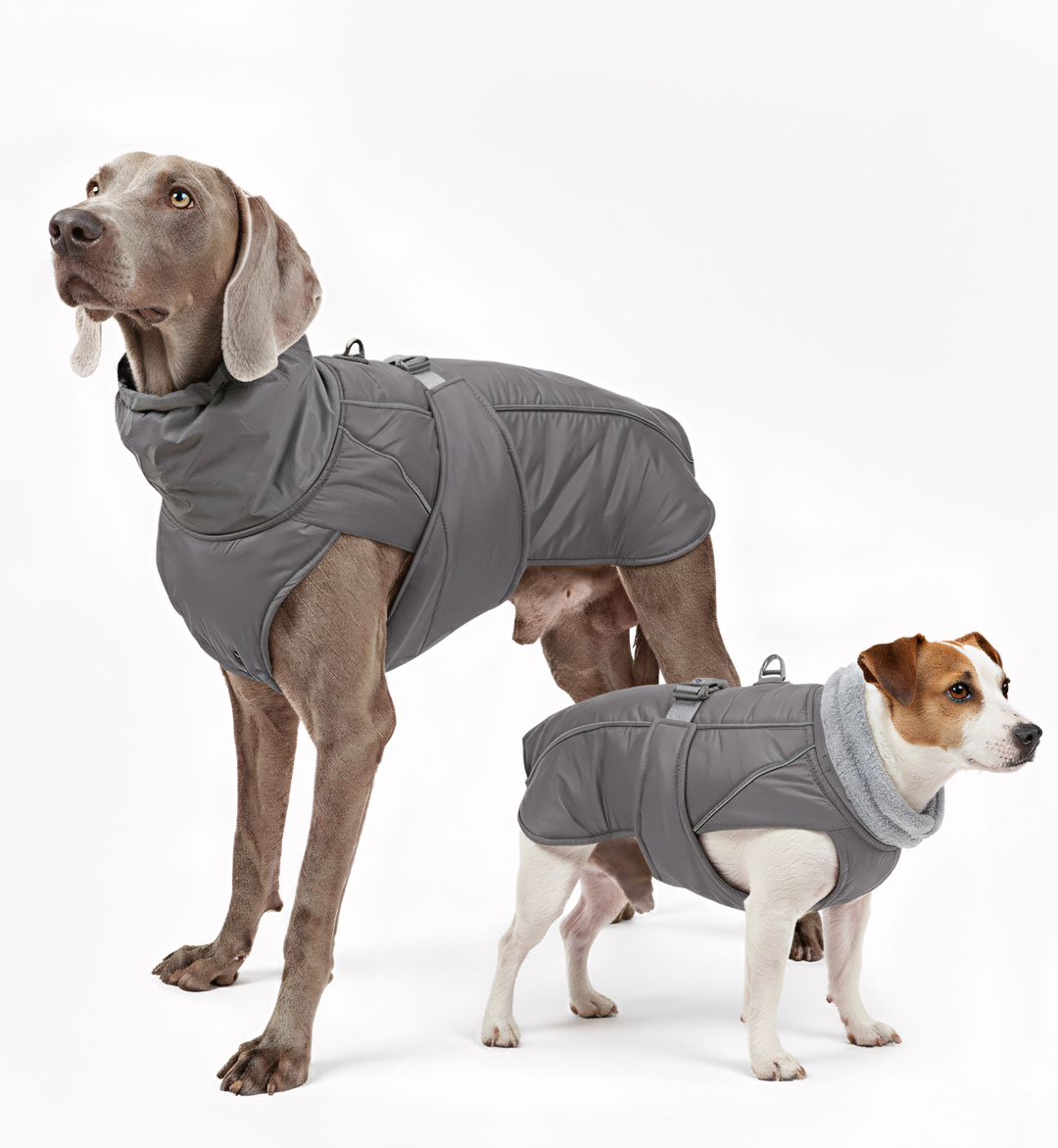 Manteau d’hiver imperméable pour chien – Col réfléchissant & doublure polaire