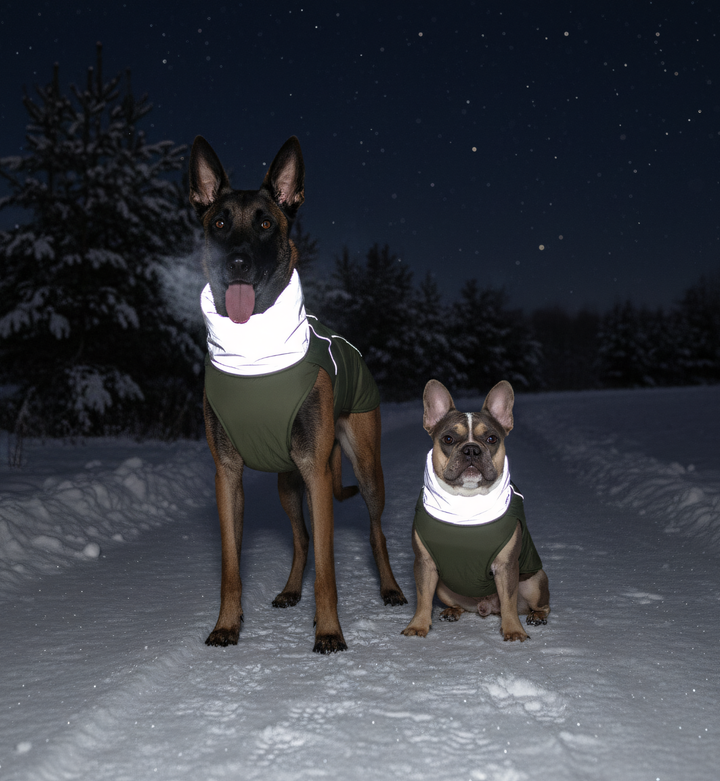 Manteau d’hiver imperméable pour chien – Col réfléchissant & doublure polaire