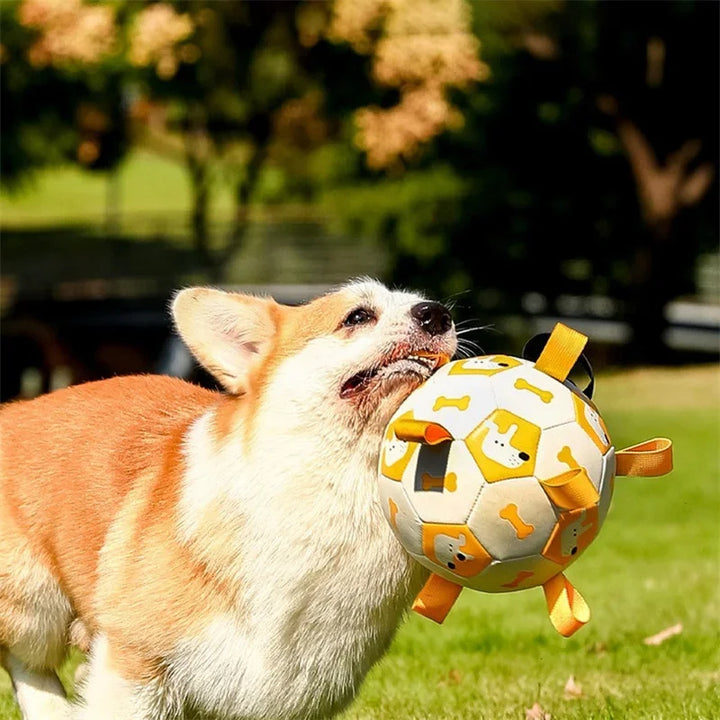 Ballon de foot interactif pour chien