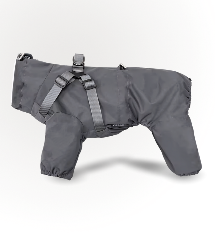 Manteau imperméable pour chien  — PatteFidèle