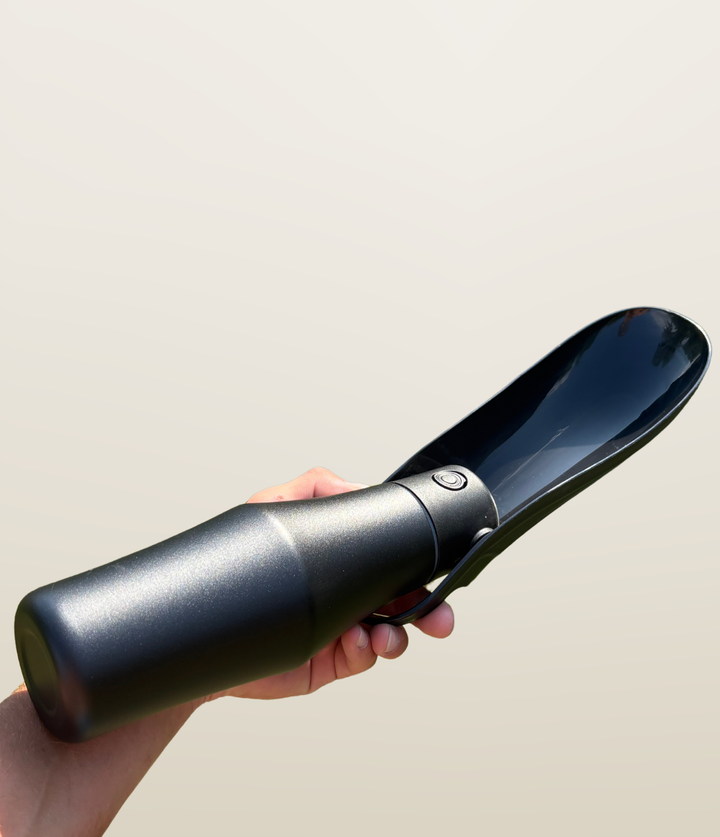 Lot 2 Gourdes pour Chien – Classique + Isotherme