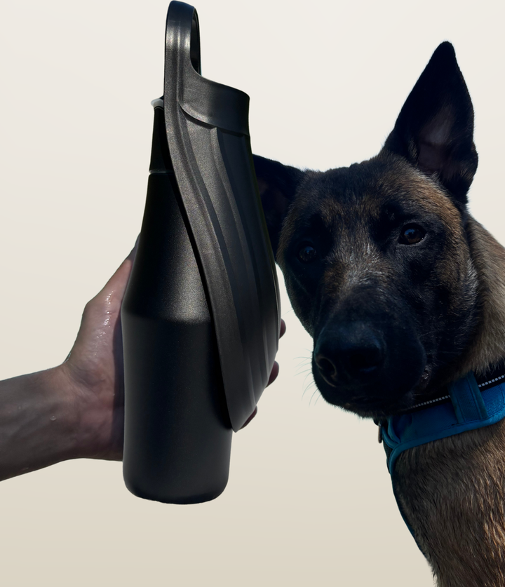 Lot 2 Gourdes pour Chien – Classique + Isotherme