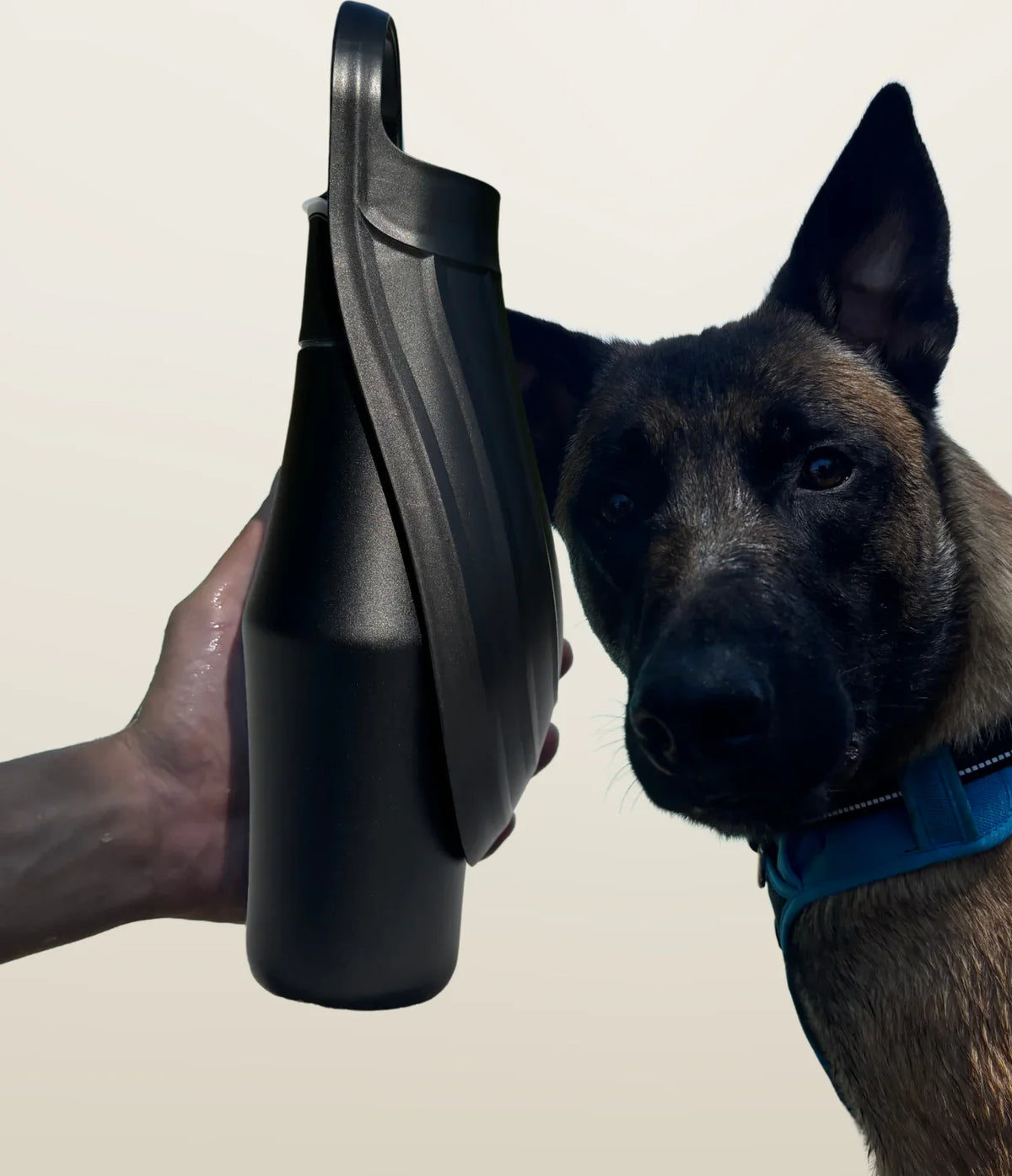 Set aus 2 Trinkflaschen für Hunde – Klassisch + Isoliert