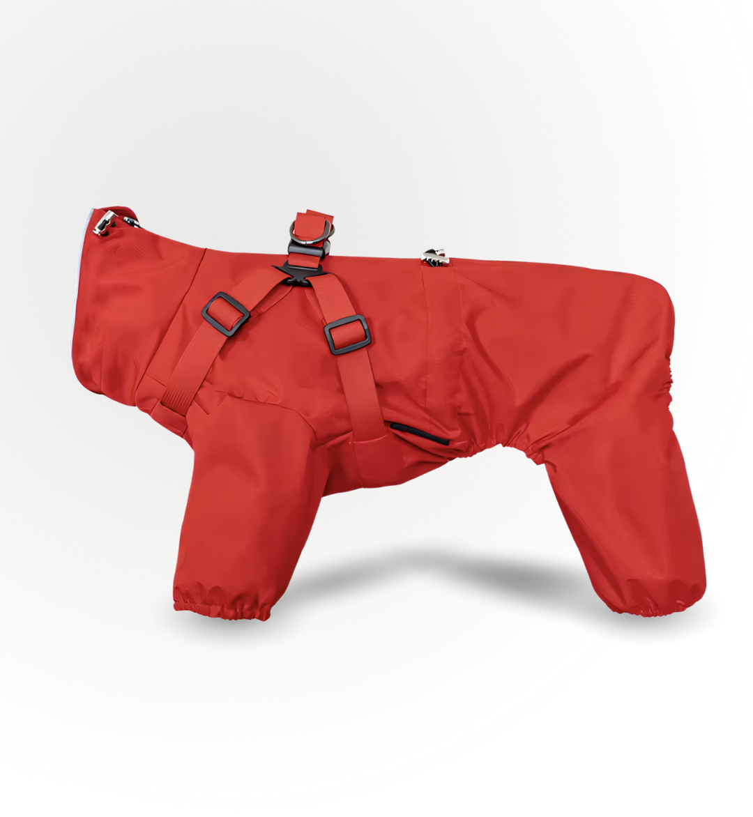 Manteau imperméable pour chien  — PatteFidèle