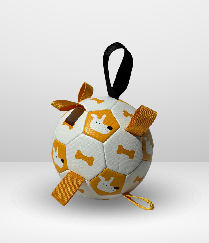Ballon de foot interactif pour chien