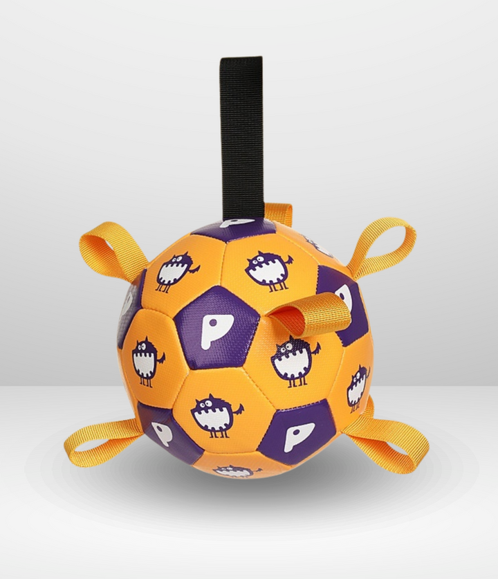 Ballon de foot interactif pour chien