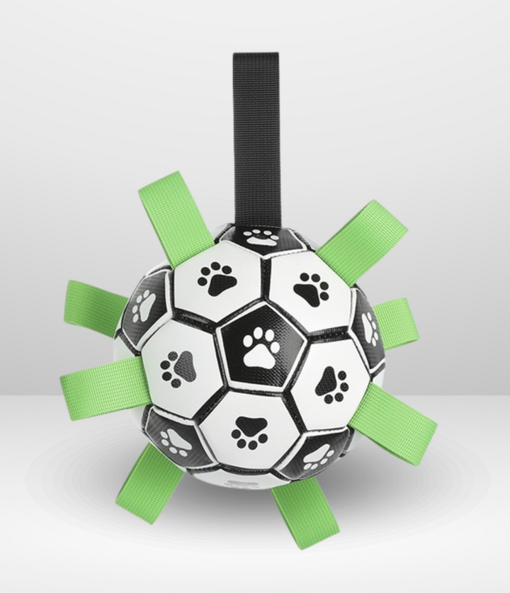 Ballon de foot interactif pour chien