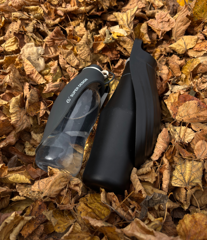 Lot 2 Gourdes pour Chien – Classique + Isotherme