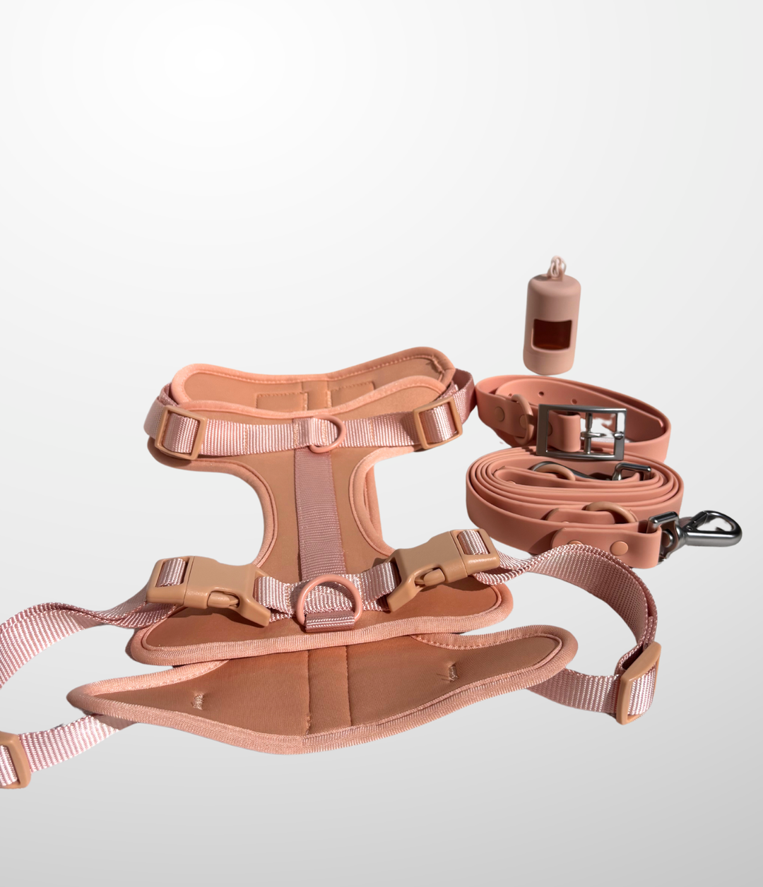 Ensemble Laisse - Harnais - Collier - Distributeur de sac a crottes