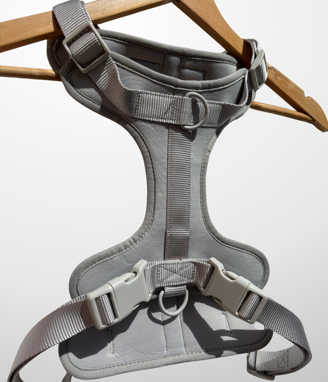 Ensemble Laisse - Harnais - Collier - Distributeur de sac a crottes