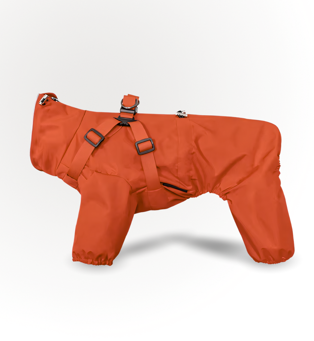 Manteau imperméable pour chien  — PatteFidèle