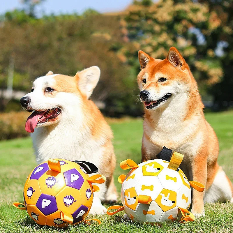 Ballon de foot interactif pour chien