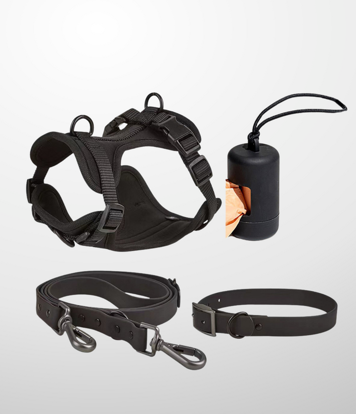 Ensemble Laisse - Harnais - Collier - Distributeur de sac a crottes