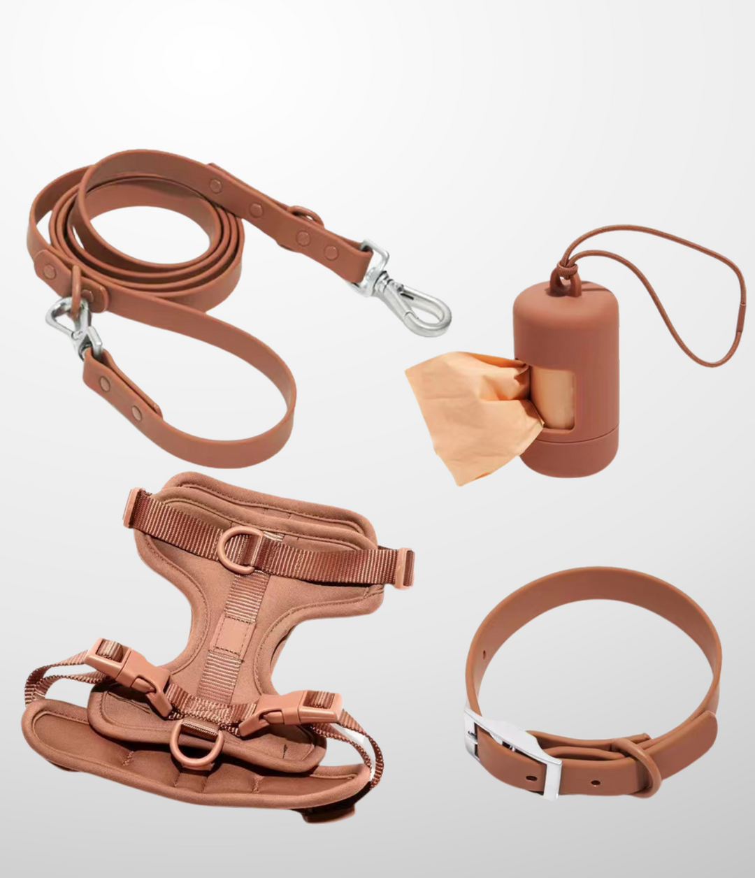 Ensemble Laisse - Harnais - Collier - Distributeur de sac a crottes