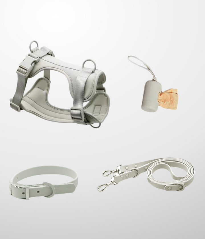 Ensemble Laisse - Harnais - Collier - Distributeur de sac a crottes