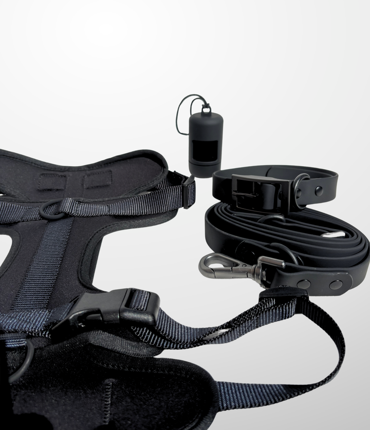 Ensemble Laisse - Harnais - Collier - Distributeur de sac a crottes