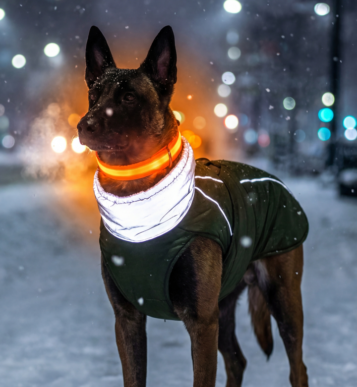 Pack Sécurité & Chaleur : Manteau Polaire + Collier LED