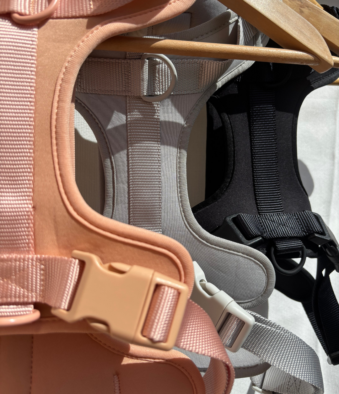 Ensemble Laisse - Harnais - Collier - Distributeur de sac a crottes