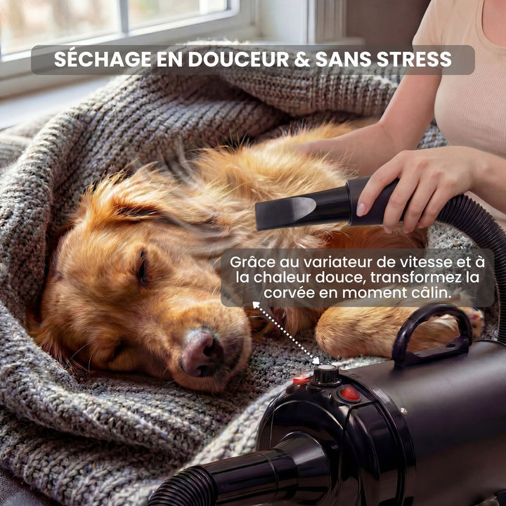 Séchez votre compagnon en toute sérénité. Grâce à sa conception silencieuse et son variateur de vitesse, notre pulseur transforme la corvée du séchage en un véritable moment de détente. Même les chiens les plus sensibles et stressés l'adoptent immédiatement.