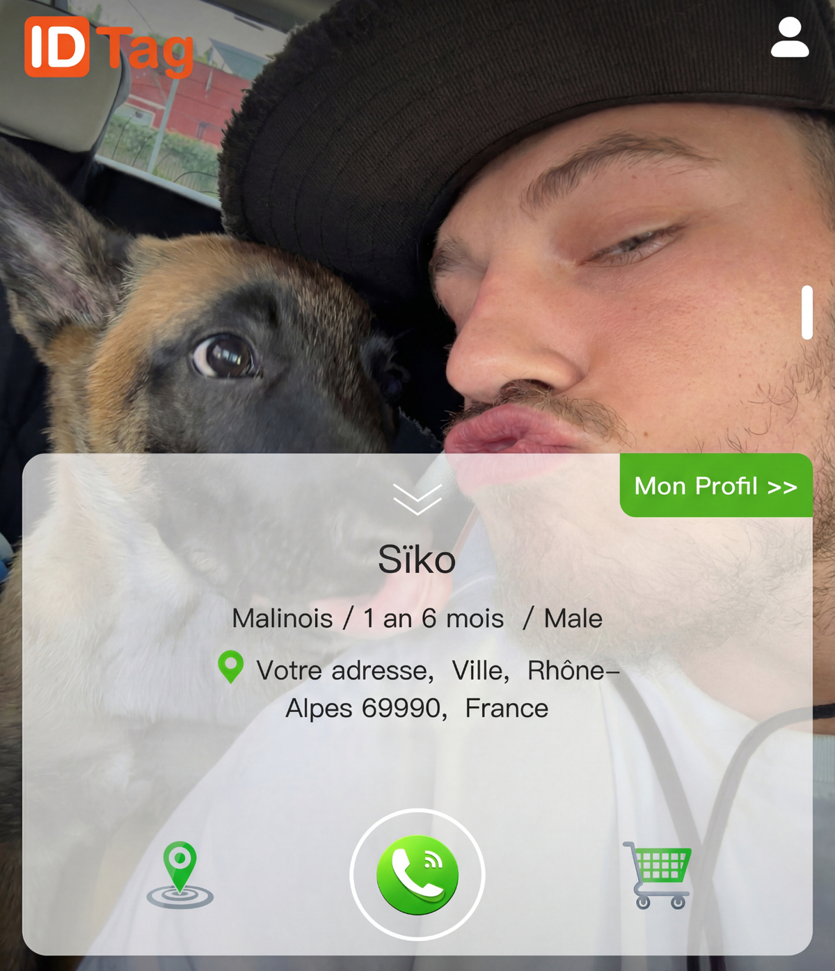QR DOG 