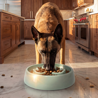 Gamelles anti-glouton