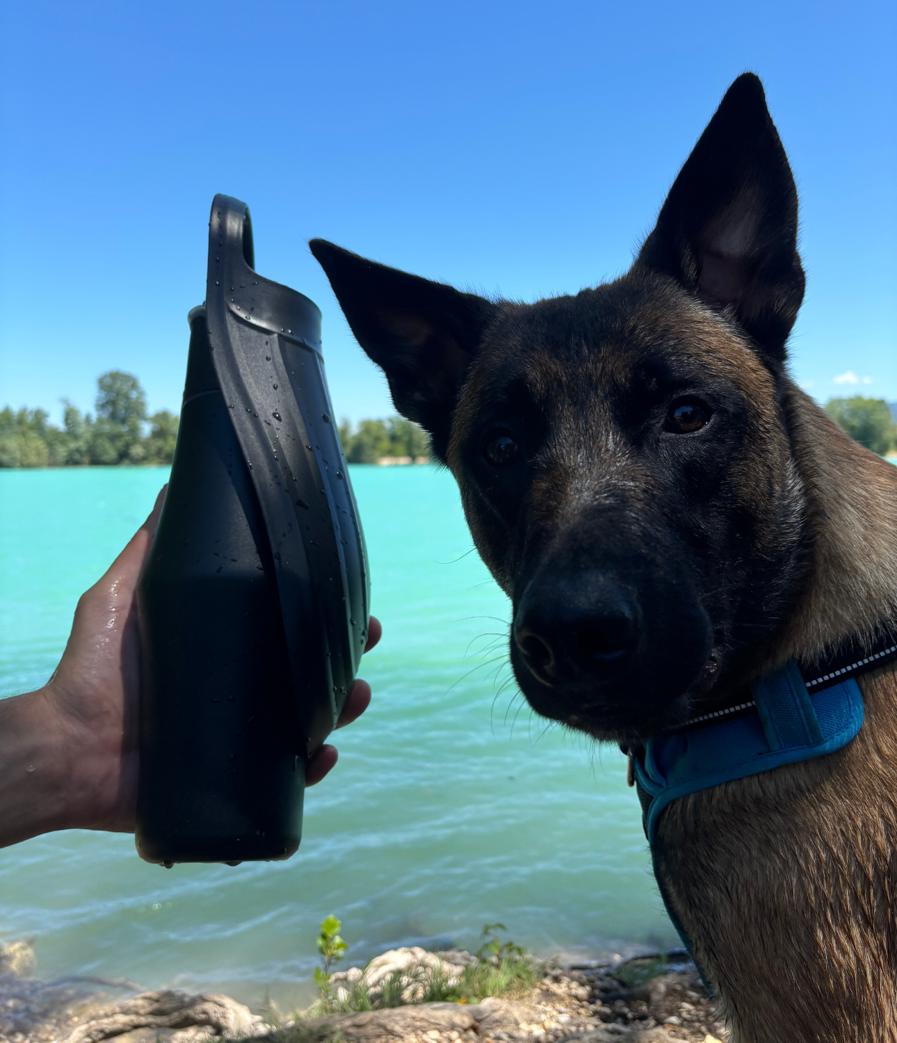 #couleur_noir #notre-offre_1-gourde