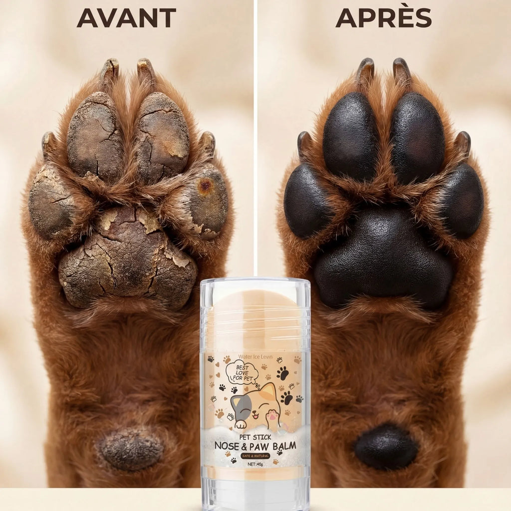Résultat avant-après utilisation du baume réparateur pour chien : réparation des coussinets secs et craquelés vers des coussinets hydratés et sains.