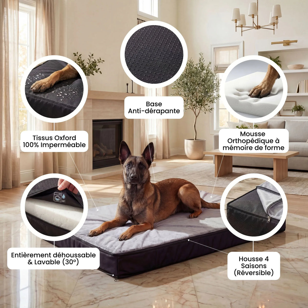 Infographie des 5 avantages médicaux du lit orthopédique PatteFidèle : mousse à mémoire de forme, housse lavable, tissu imperméable, base antidérapante et couverture réversible.
