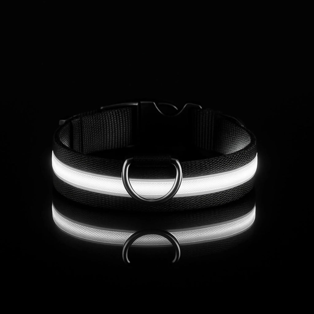 Collier lumineux LED blanc éclatant pour chien, design épuré sur fond noir pour une haute visibilité.