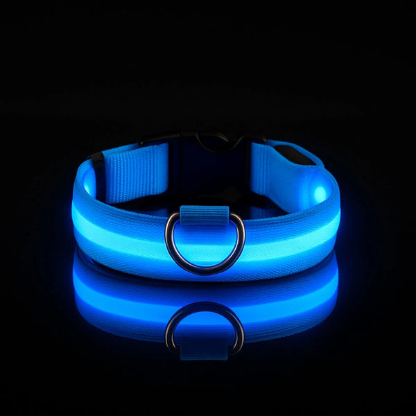 Collier LED pour chien - Visibilité Nocturne