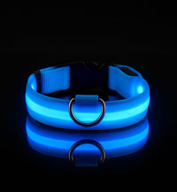 Collier LED pour chien - Visibilité Nocturne