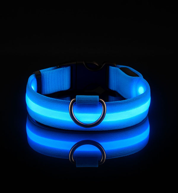 Collier LED pour chien - Visibilité Nocturne