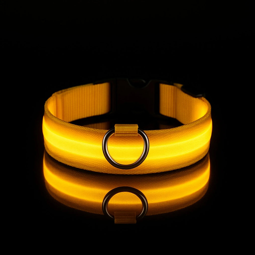 Collier LED jaune doré lumineux pour animaux de compagnie, isolé sur fond noir.