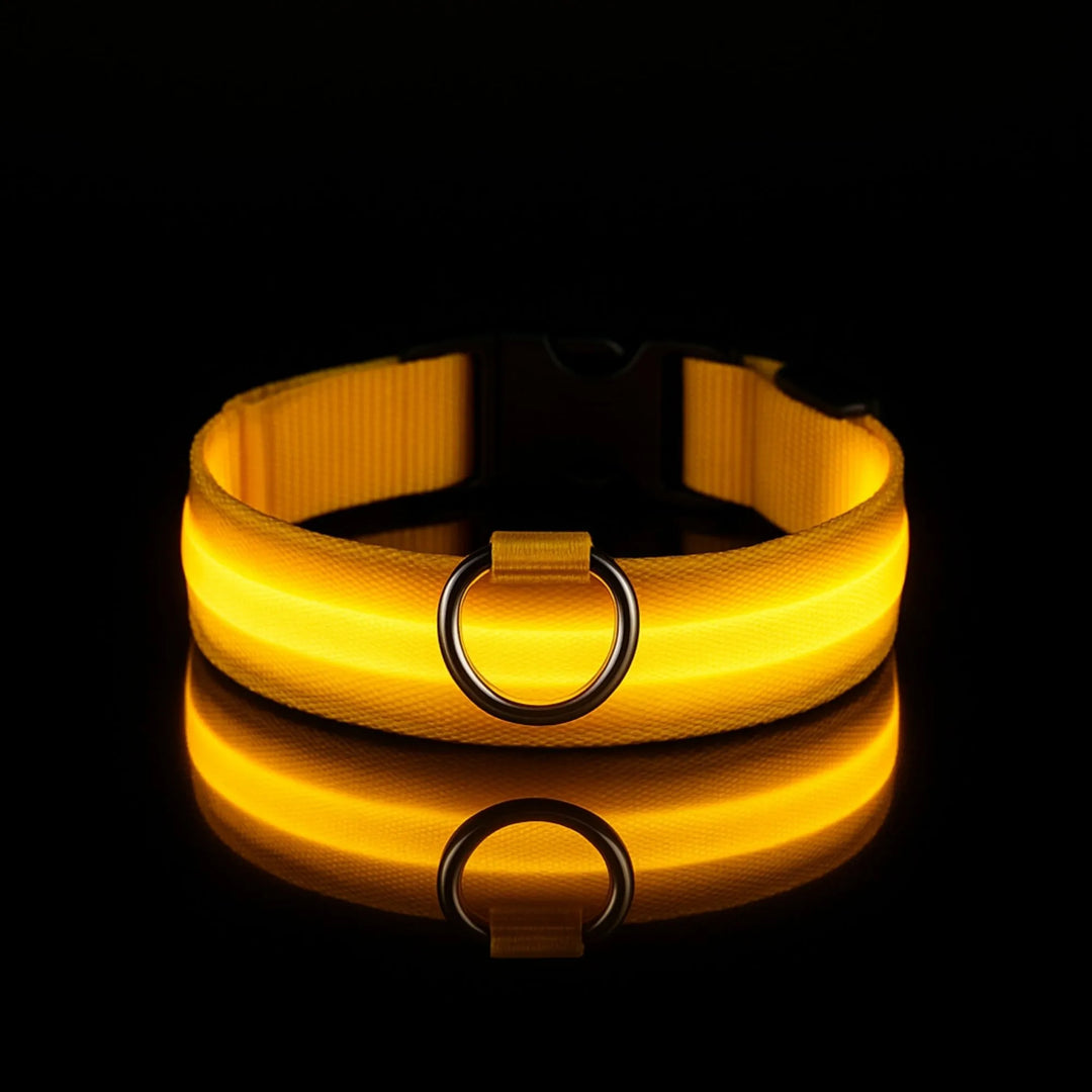 Collier LED jaune doré lumineux pour animaux de compagnie, isolé sur fond noir.