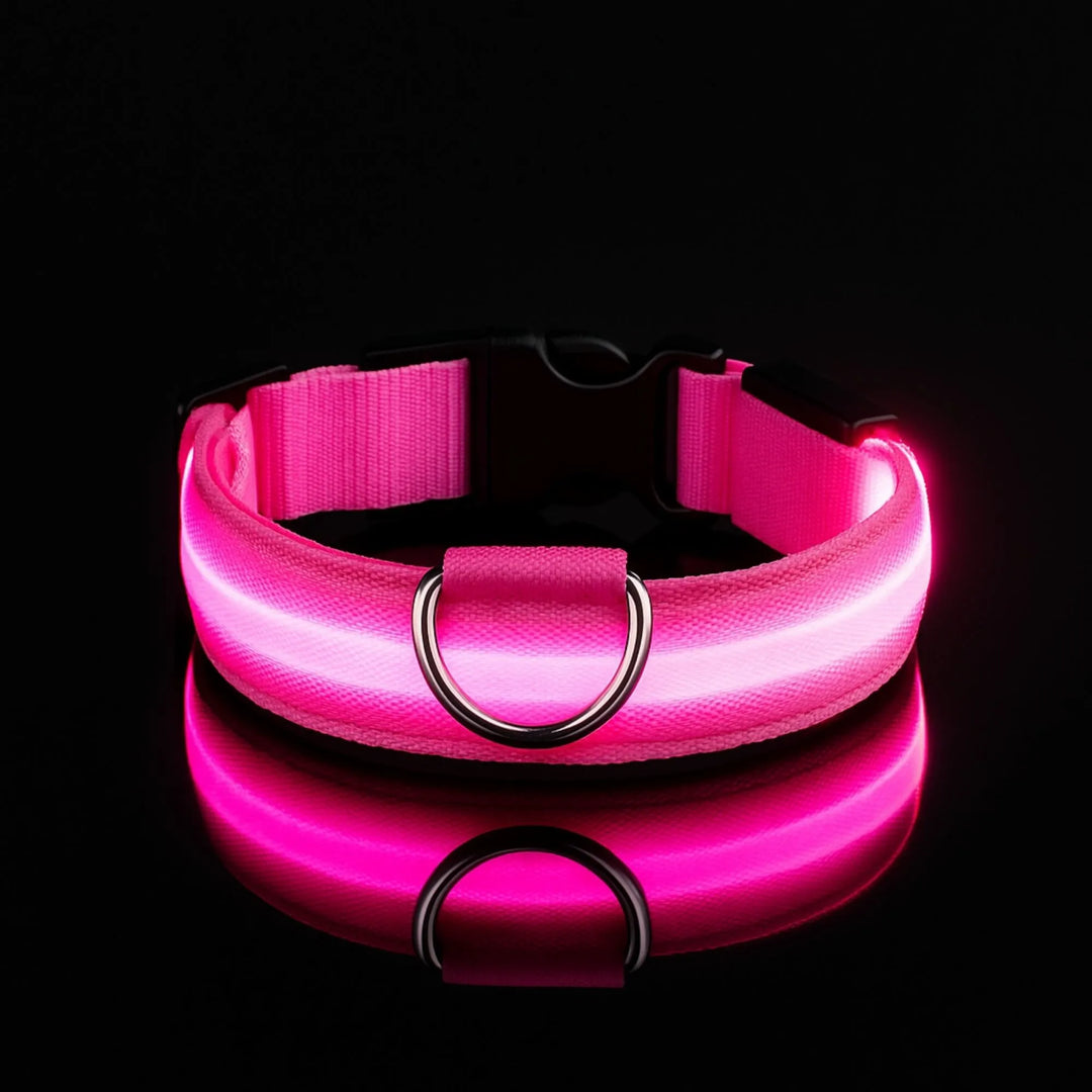 Collier pour chien lumineux rose néon, accessoire de visibilité nocturne sur fond noir.