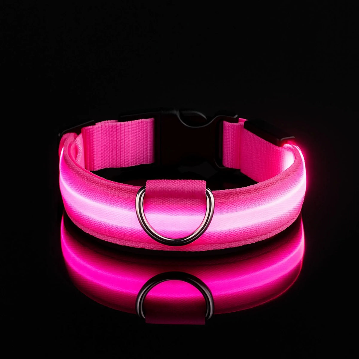 Collier pour chien lumineux rose néon, accessoire de visibilité nocturne sur fond noir.
