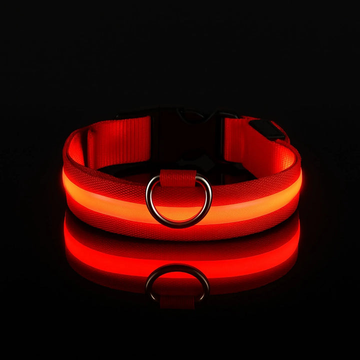 Collier de sécurité LED rouge intense pour chien, photo de produit sur fond sombre.