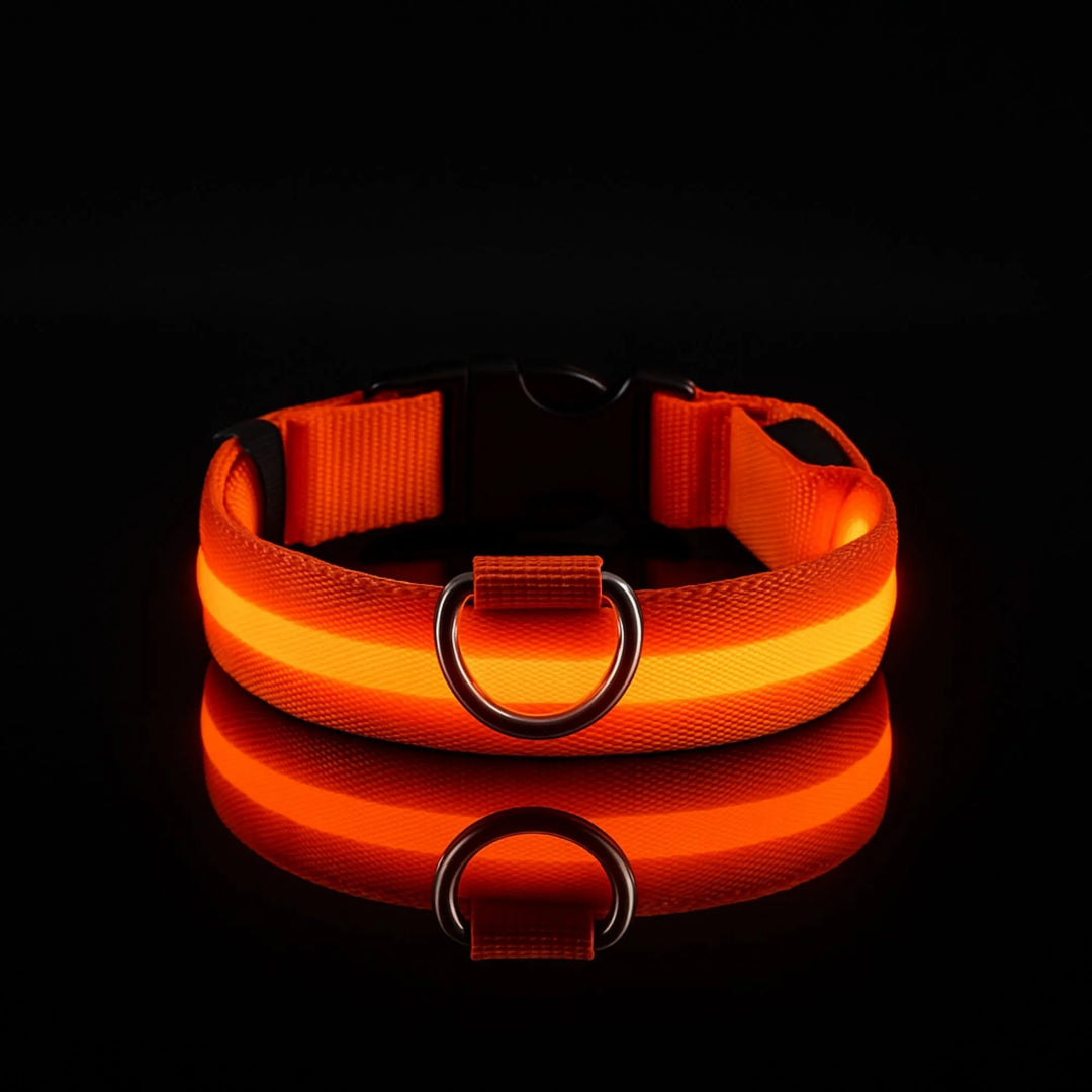Collier LED orange vif pour chien, montrant la bande lumineuse et l'anneau d'attache métallique.