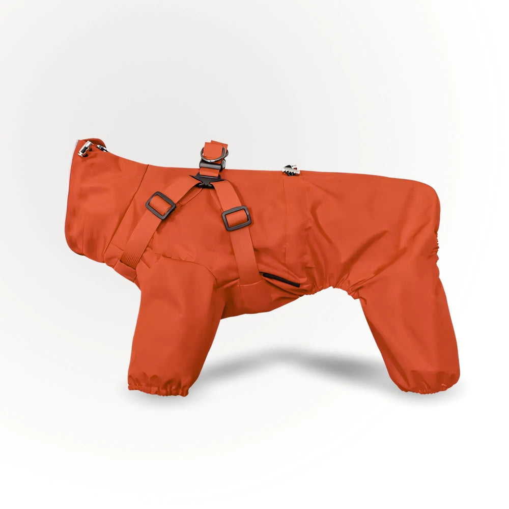 Vêtement de pluie orange vif pour chien, offrant une haute visibilité et une protection totale contre les intempéries.
