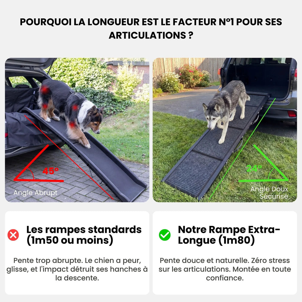 Comparaison rampe voiture pour chien : l'importance d'une rampe extra-longue de 1m80 avec pente douce pour protéger les articulations, éviter les chocs et prévenir l'arthrose chez le grand chien.