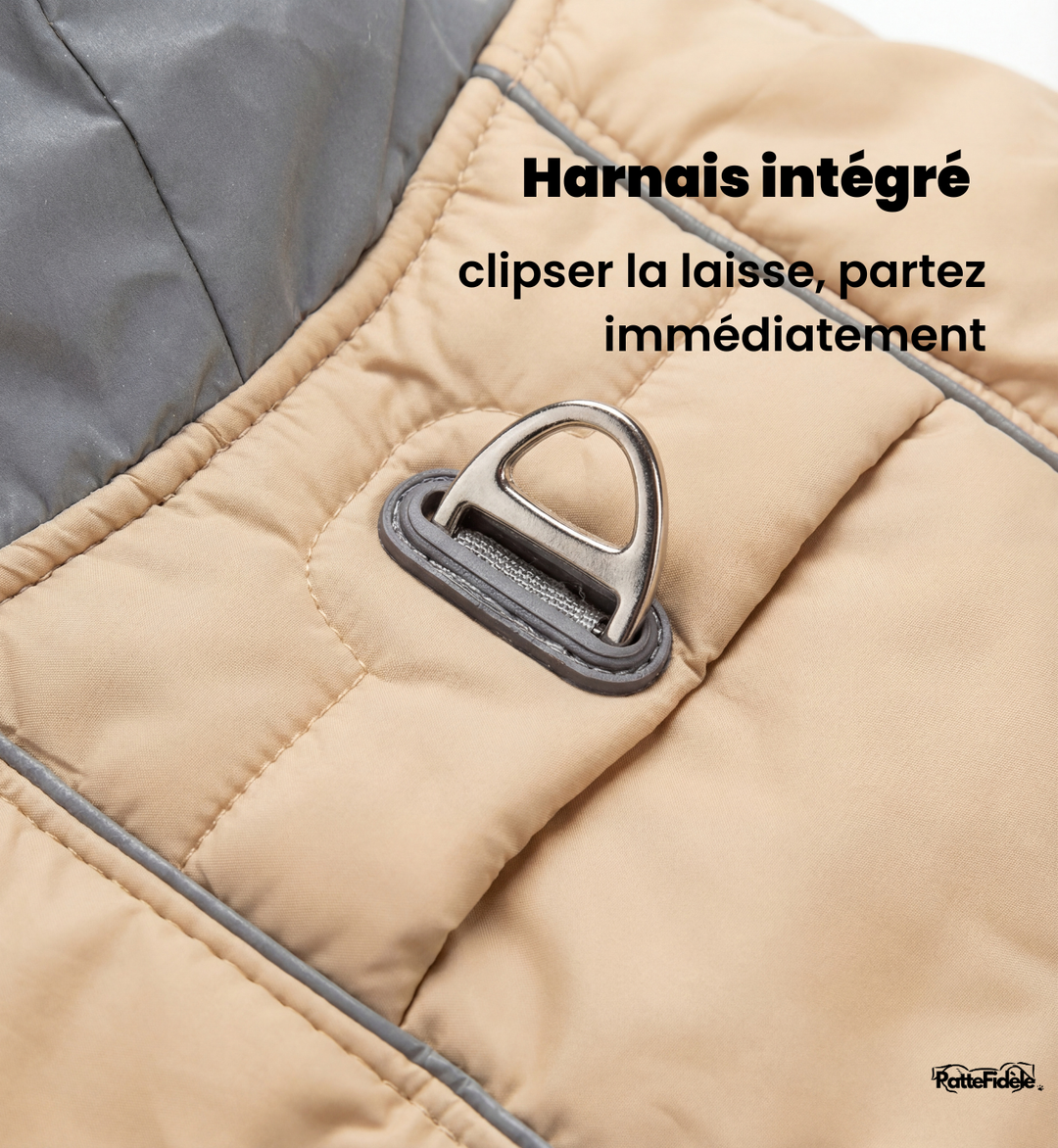 Zoom sur le système de harnais intégré avec anneau en D robuste sur le dos du manteau pour chien. Attache laisse directe.
